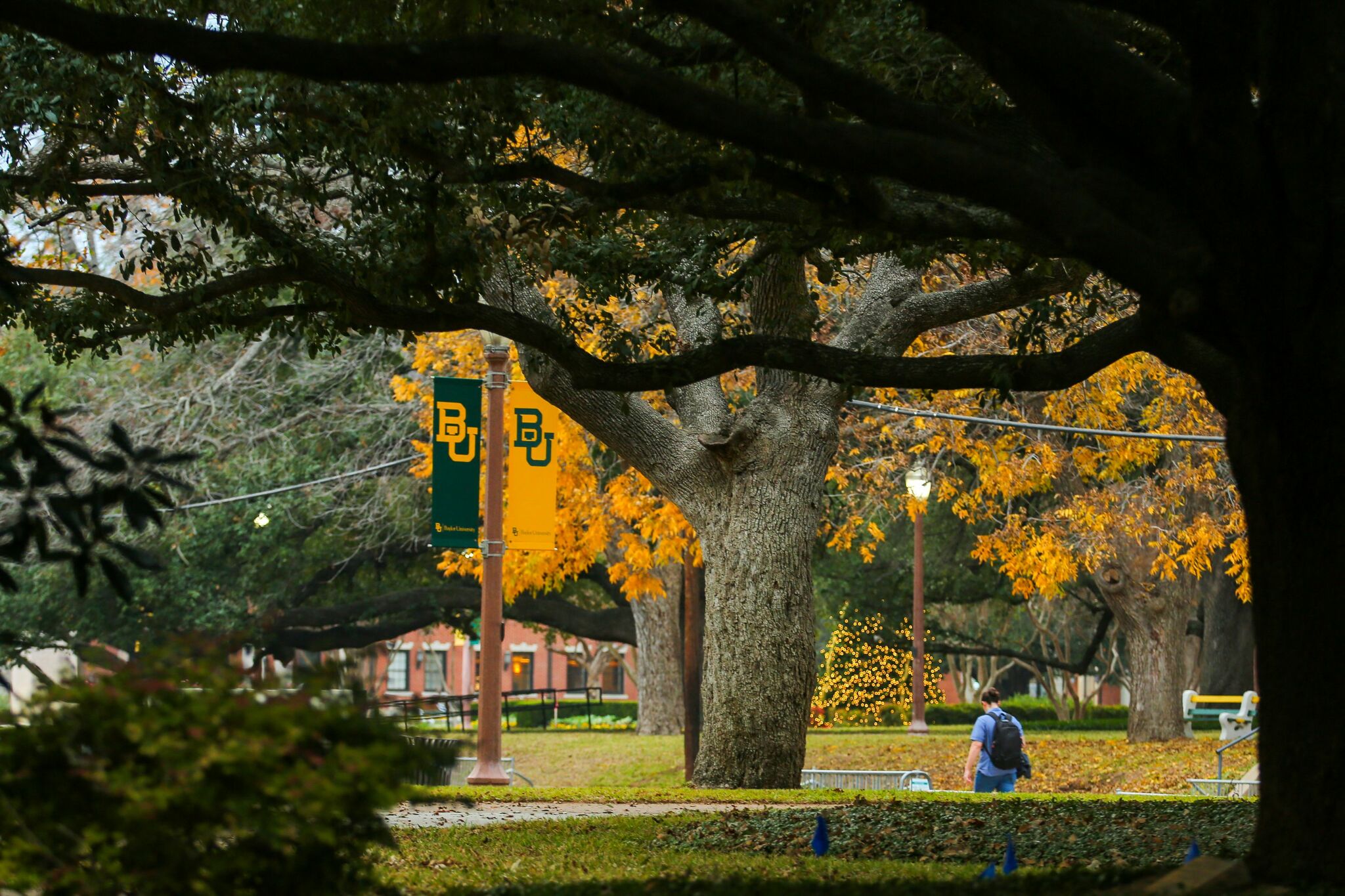 Texas university turns down $600K for LGBTQ study